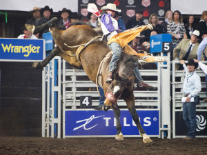 Calgary Stampede Lottery Operations